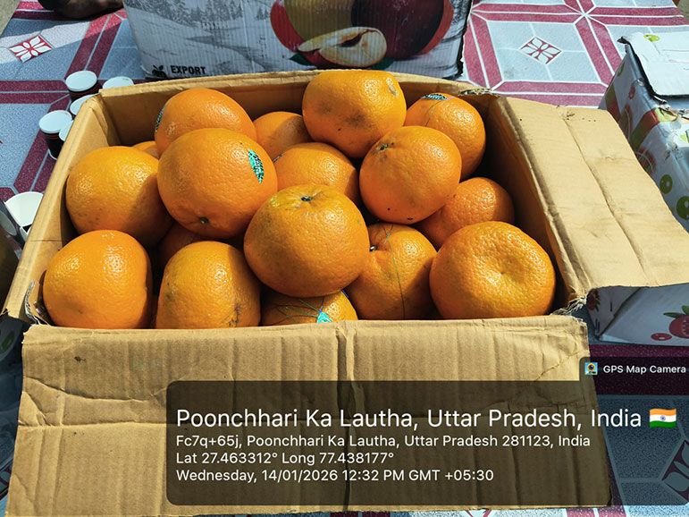 Daily Food Distribution